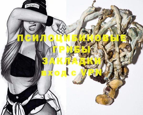 спиды Медногорск